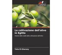 La coltivazione dell'olivo in Egitto: Visione della realtà della coltivazione dell'olivo