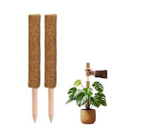La cordeline - Lote de 2 tutores de Plantas trepadoras (60 cm, Soporte de Coco Natural, extensión Tutor para Monstera, jardín, Planta casera, marrón