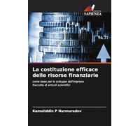 La costituzione efficace delle risorse finanziarie: come base per lo sviluppo dell'impresaRaccolta di articoli scientifici