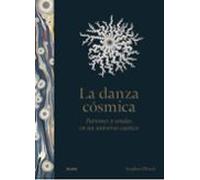 La danza cósmica: Patrones y sendas en un universo caótico (SIN COLECCION)