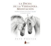 La dicha de la verdadera meditación: Palabras de aliento para mentes cansadas y corazones salvajes (FONDO)