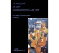 La Eficacia De Los Derechos Sociales Hoy