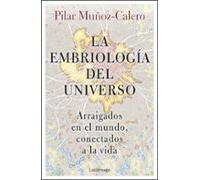 La Embriologia Del Universo
