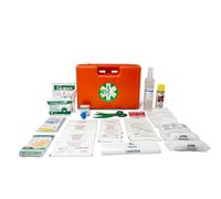 La Empresa GIMA 34196 Kit de Primeros Auxilios All. 2 General, Maletín de Plástico