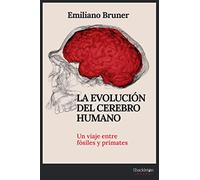 La Evolucion Del Cerebro Humano