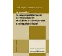 La Exencion De Responsabilidad Penal Por Regularizacion En El Del Ito