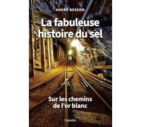 La fabuleuse histoire du sel: Sur les chemins de l'or blanc