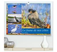 La faune de nos côtes les oiseaux (Calendrier mural 2026 DIN A2 vertical) calendrier de bureau: La faune aviaire qui peuple nos littoraux