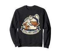 La Fiesta del té de Boston en 1773 aún no se arrepiente, Divertida y patriótica, EE. UU. Sudadera
