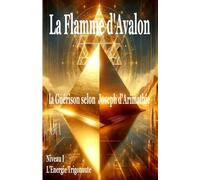 LA FLAMME D'AVALON - Niveau I - L'ENERGIE TRIGONAUTE: la guérison selon Joseph d'Arimathie (COLLECTION LE CERCLE DU GRAAL)