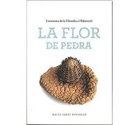 LA FLOR DE PEDRA: L'aventura de la Filosifia a l'Educació