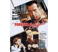 La Foresta Pietrificata [Italia] [DVD]