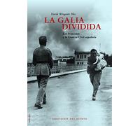 La galia dividida