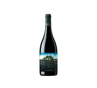 La Garnacha Salvaje del Moncayo 2022