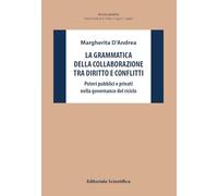 La grammatica della collaborazione tra diritto e conflitti. Poteri pubblici e privati nella governance del riciclo (Ricerche giuridiche. Nuovissima serie)