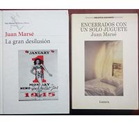 La gran desilusión (Biblioteca Breve)