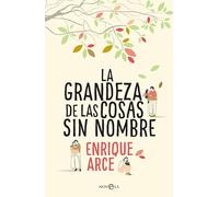 La Grandeza De Las Cosas Sin Nombre