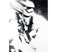 La Guerra de Las Galaxias Stormtrooper Paint Lienzo Standard