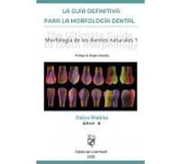 La guía definitiva para la morfología dental