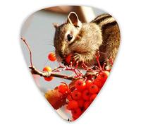 ¡La guitarra escoge a esa ardilla del hambre! 12 piezas de púas para ukelele que incluyen 0,46 mm 0,71 mm 0,96 mm