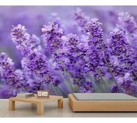 La hermosa lavanda hace que tu hogar sea aún más encantador. Mural de pared 3D autoadhesivo, decoración para dormitorio, baño y sala de estar, papel tapiz decorativo 400x280cm (No autoadhesivo)