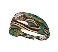 La historia de la serpiente y el gato - Diadema elástica deportiva estampada para correr, gimnasio, ciclismo, yoga, fitness y viajes