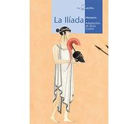 La Iliada: 69 (Calcetín)