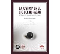 La Justicia en el ojo del huracán: Reflexiones de un magistrado de lo social (Monografías)