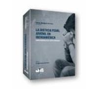 La Justicia Penal Juvenil En Iberoamérica