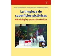 La limpieza de superficies pictóricas. Metodología y protocolos Técnicos: Notas para un proceso metódico: 344 (Biblioteconomía y Administración Cultural)
