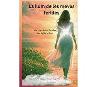 La llum de les meves ferides: On hi havia ferides,avui hi ha llum
