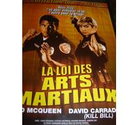 La Loi Des Arts Martiaux