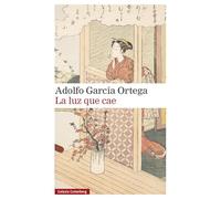 La luz que cae (Narrativa)