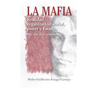 LA MAFIA: REALIDAD, ORGANIZACIÓN SOCIAL, PODER Y ESTADO.: MÁS ALLÁ DE LA CRIMINALIDAD…