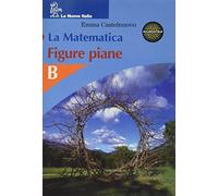 La matematica. Figure piane. Volume B. Per la Scuola media