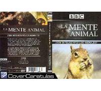 La mente animal ¿son inteligentes los animales