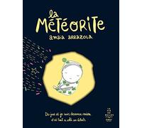 La météorite: Du jour où je suis devenur mère et où tout vola en éclats