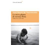 La meva planta de taronja llima