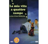 La Mia Vita A Quattro Zampe [Italia] [DVD]