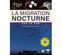 la migration nocturne par le son