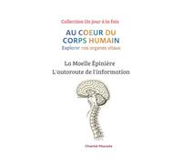 La moelle épinière: L'autoroute de l'information
