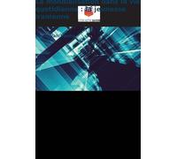 La mondialisation dans la vie quotidienne: la jeunesse iranienne