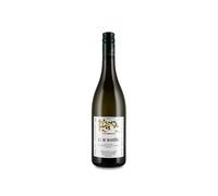 La Morandina Moscato d'Asti 2024