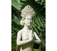 La naissance d'une légende: Le grand retour du Maître