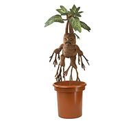 La Noble Colección Mandrake Electrónica Interactiva