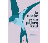 LA NOCHE ES UN PÁJARO AZUL