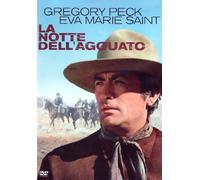 La notte dell'agguato [Italia] [DVD]