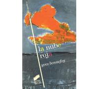 La nube roja: 17 (El espíritu y la letra)