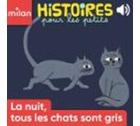 La nuit tous les chats sont gris
