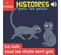 La Nuit Tous Les Chats Sont Gris (audiolibro)